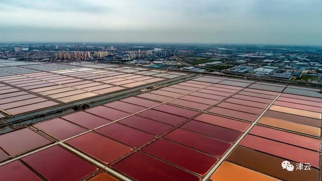 芦花千年尽飞雪