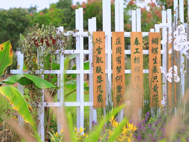 接下来临沂的秋天 | 这10处绝美打卡地别错过！先收藏慢慢逛~