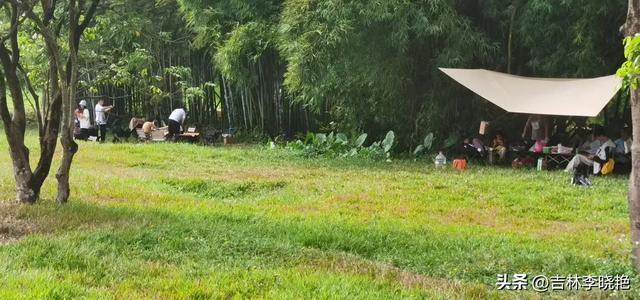 飞放，飞放，飞放心情​一一黄埔麦村冬一日​