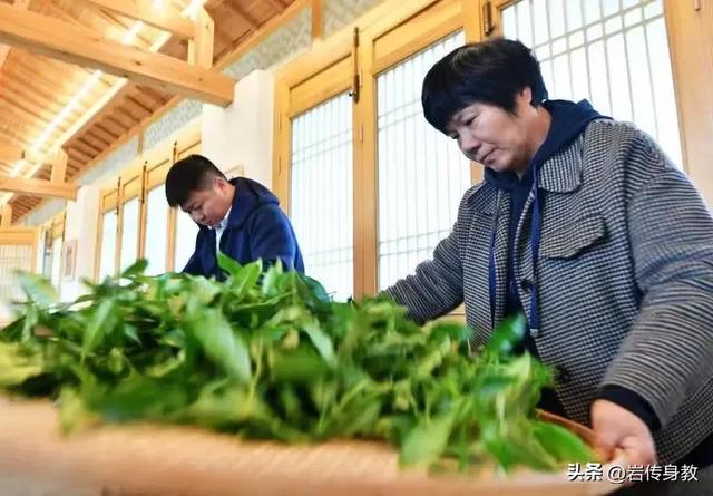 12位首批国非遗武夷岩茶制作技艺传承人