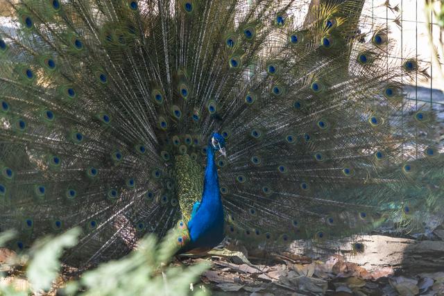 云南景洪：最大的综合性生态旅游景点