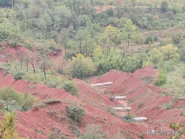 藏在秦岭旁的红土地，美成了人间仙境，是西安人周边游的好去处