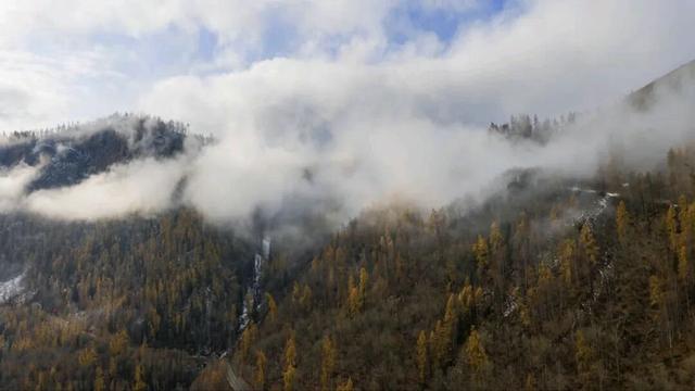 云雾缭绕 喀纳斯驼颈湾