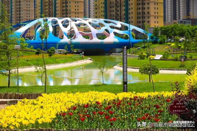 临夏市：一座把“浪漫”写进马路牙子的城市
