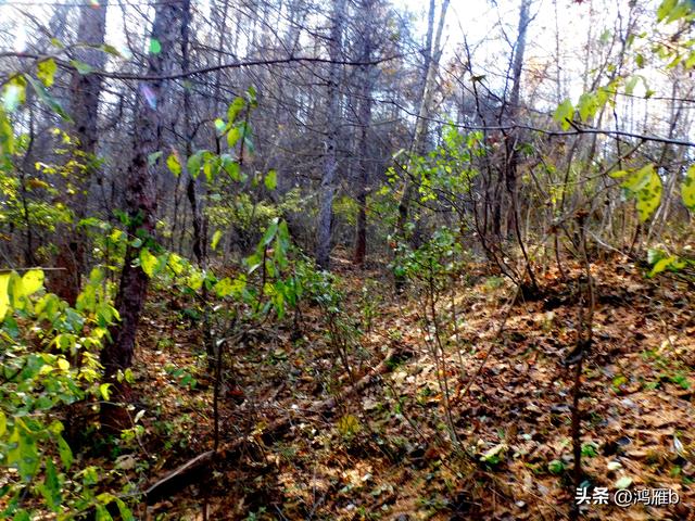 明长城本溪段全程探寻