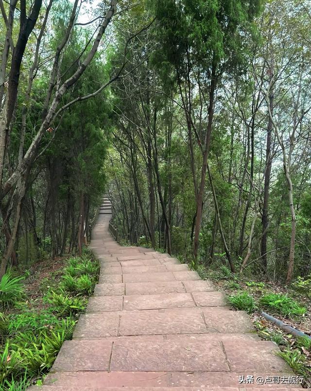 成都黄金徒步路线，公交直达起点，一处比一处惊艳，都不要门票！
