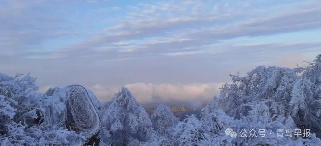 有序开放八仙墩景区、开通太清—仰口海上新航线……崂山风景区将有新动作