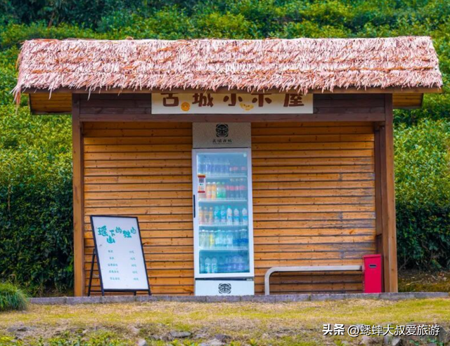 来杭州“千年秘境”公园吧，秋日有绝美场景，还可直接承包全场！