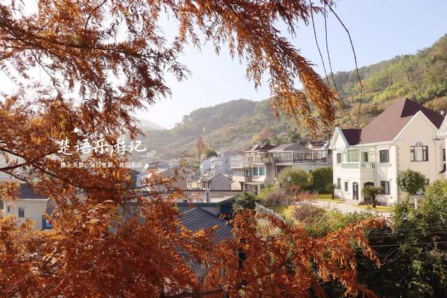 浙江宁波的千年古村，银杏红枫相映堪比油画，梯田茶园比画还要美