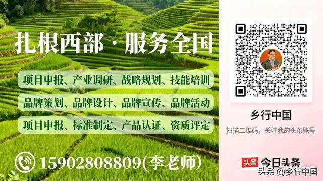 中国四大古城核心吸引力、客群画像与阆中古城的破圈策略研究