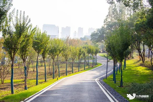 东西湖这座山,变了!