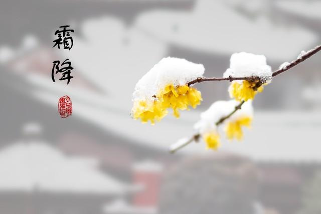 “上午霜降，冻死老牛；下午霜降，单衣过冬”，今年霜降在几点？