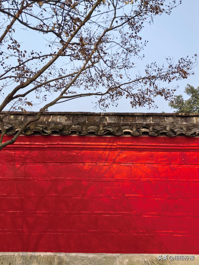 为看金黄美景和红墙，我来北碚静观走一趟，在塔坪寺和思乡台公园