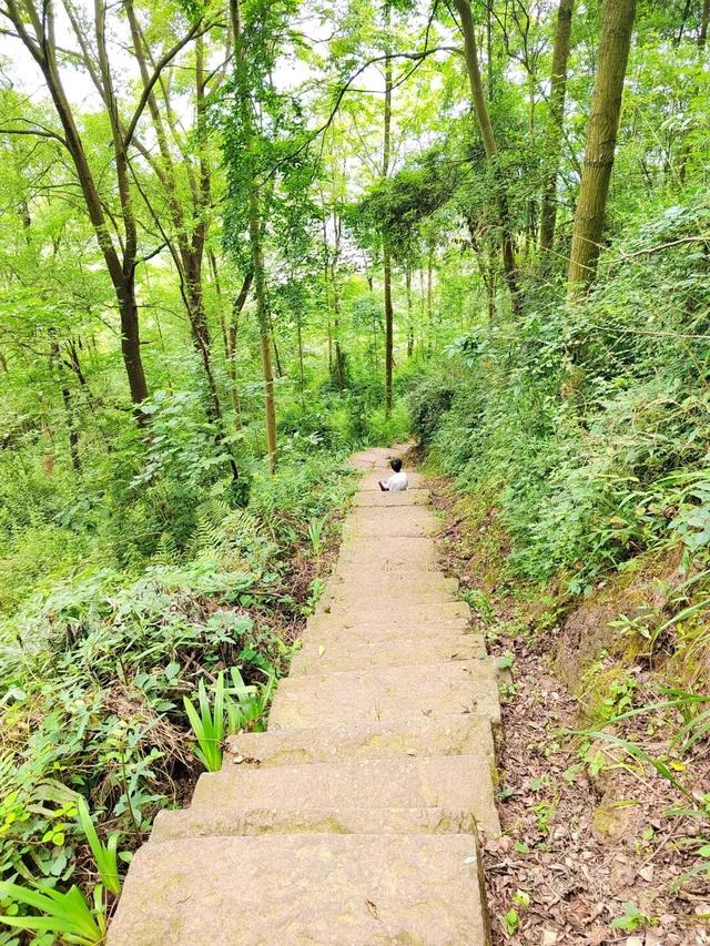 与青城山齐名！成都南门0.5h直达小众古寺，人少景美徒步好去处！