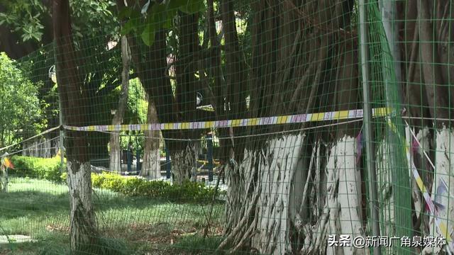 【泉州】直击公园闭园消杀现场!烟雾飘飘,请勿入园→