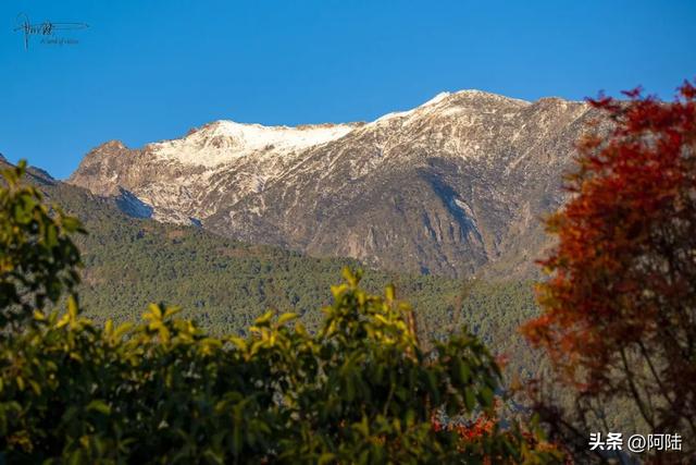 大理虽没下雪,但苍山之巅已是银装素裹,远眺和仰望都挺好看