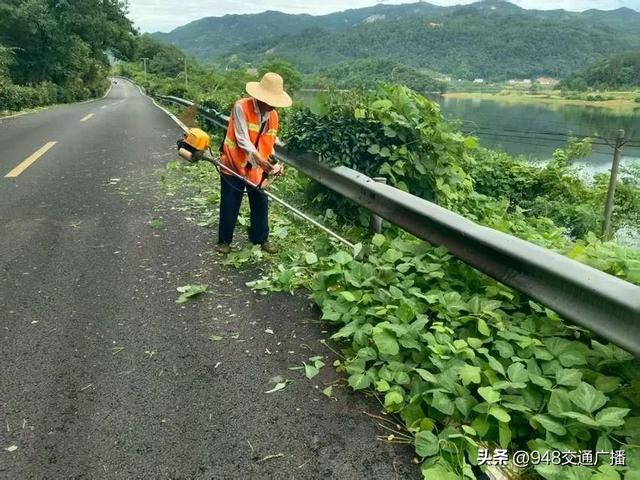新晋打卡地！黄梅S236古角水库段变身“乐活走廊”