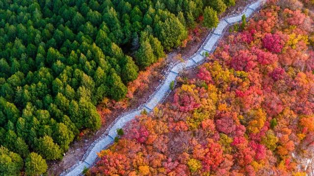 新华社聚焦+国家地理推荐！济南蝎子山“鸳鸯锅”秋景太惊艳了！