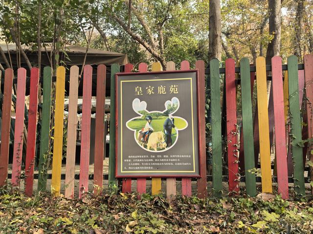 南京栖霞山一日徒步，游千年古刹，看漫山红叶