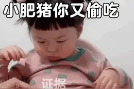 表情包：小肥猪你又偷吃图片