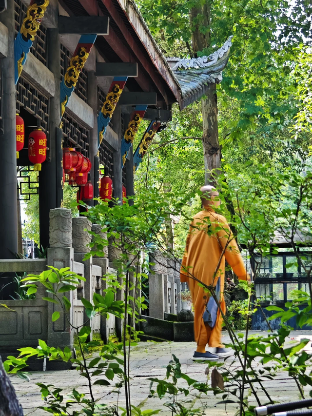 比人民公园巴适！5元素斋管饱、10元茶喝一天，公交直达宝藏古寺