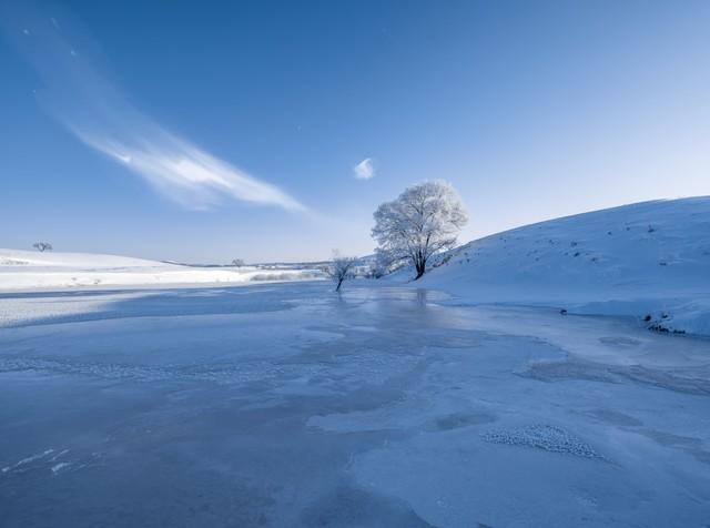 今年三九不一般，“三九在冬，单衣过冬”，今冬冷不冷？早了解