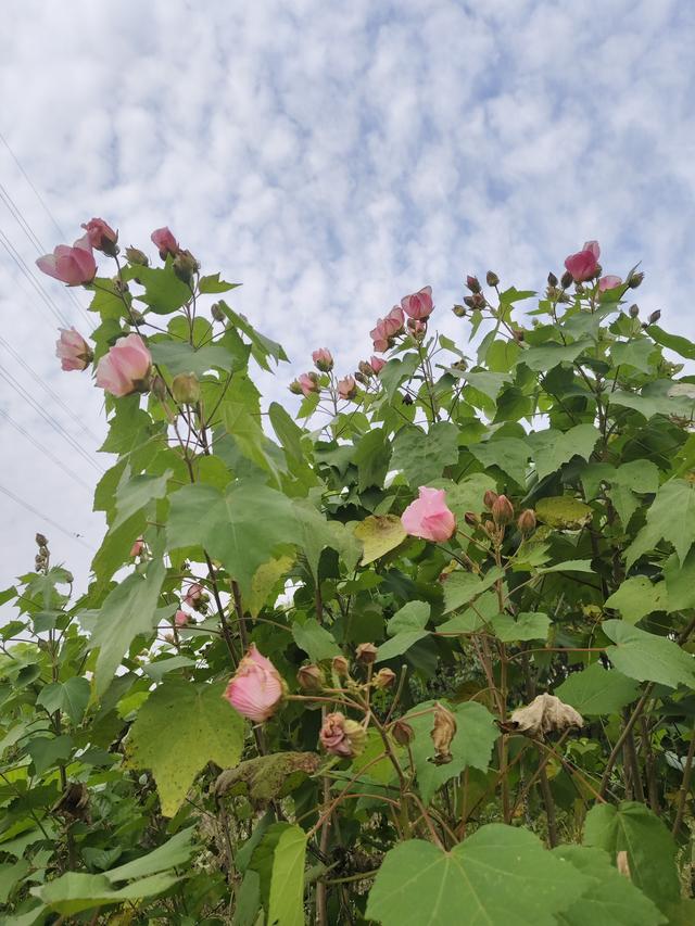 徒步穿越西流湖，赏秋正当时