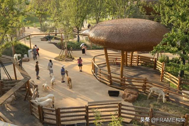 万社设计打造麓客岛动物农场，以设计与自然共谱城市田园牧歌