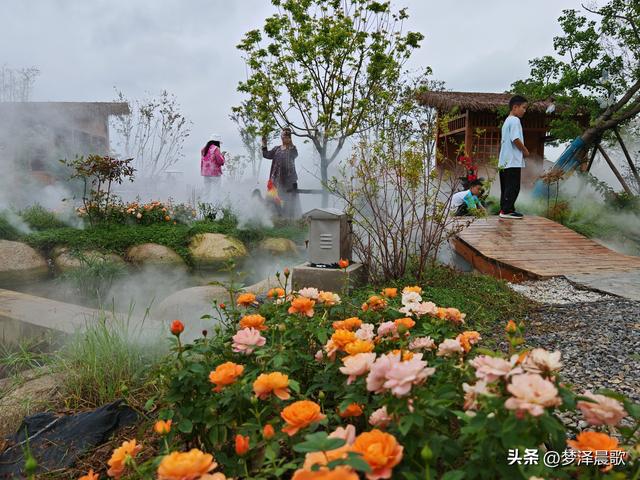 云梦仙境花开十月花雾醉游人