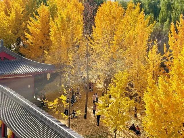 西安周末好去处——初冬8处宝藏公园免费又好玩！