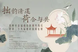 赏荷正当时！苏州市首届荷花联展暨第二十九届拙政园荷花展今日开幕！图片