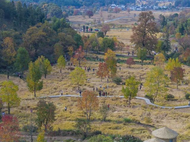 红叶如火，塔川正浓 | 皖美冬日 | 第十五届安徽国际文化旅游节