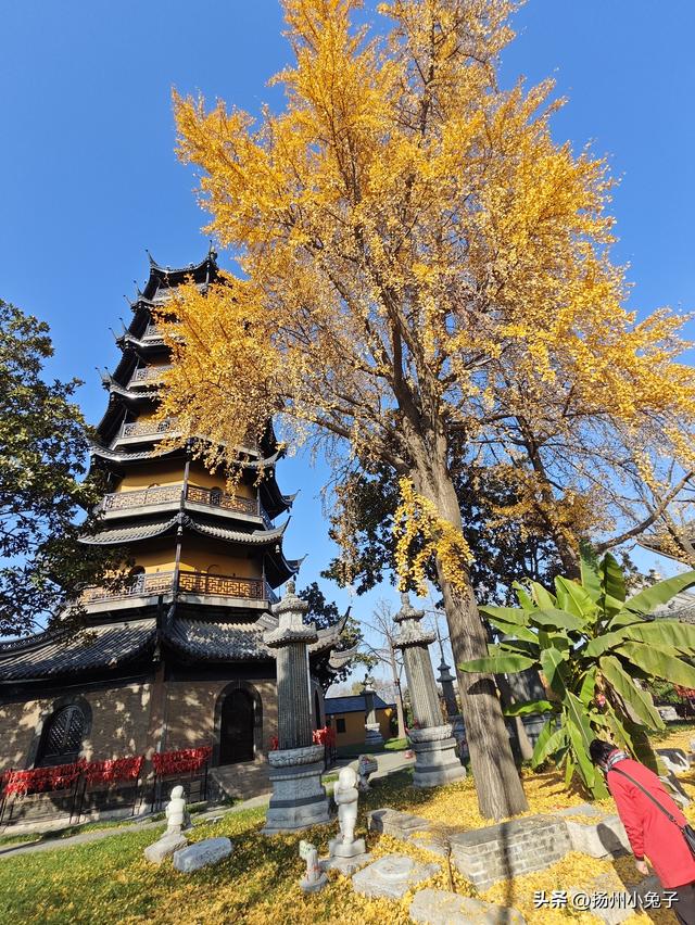 一日逛了几座寺庙，只为欣赏冬日璀璨的美