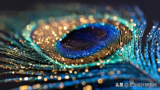 免费开源！超多案例实测AI生图模型Flux.1 Krea Dev
