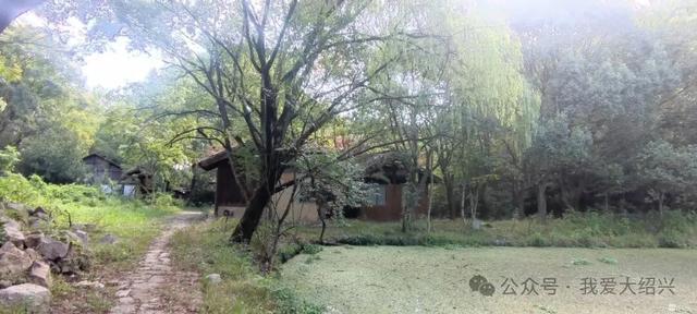 绍兴这个村怎么了？曾经的影视基地，全国知名！如今变成这样了