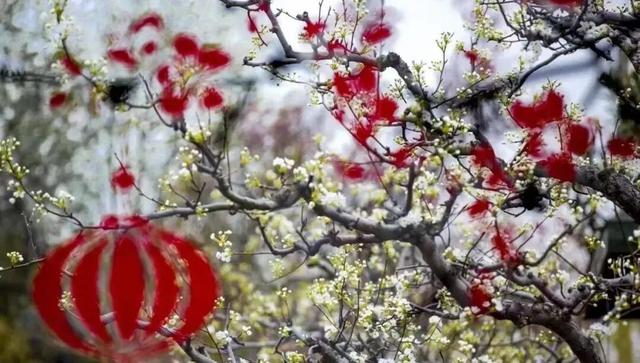 免费、优惠！“双节”假期游枣庄！这份攻略请查收→（滕州、薛城篇）