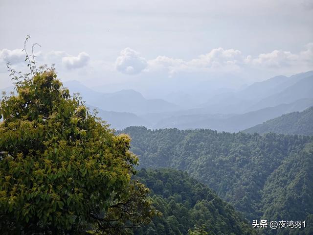 徒步瓦屋山,太艰难了,坚持下来不容易