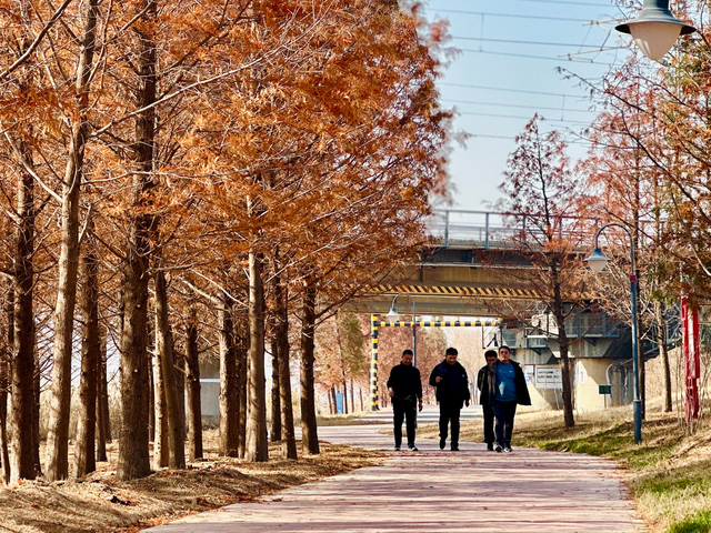 冬日里的多彩诗行