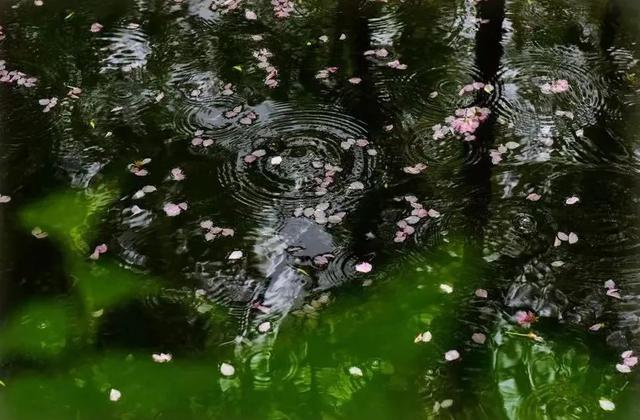 处暑 解锁潼关“凉热交织”的初秋玩法~