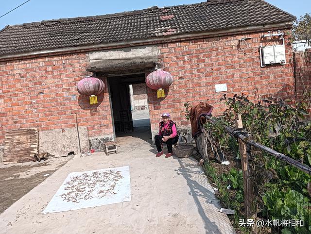 “家有一老，如有一宝”——这不	，骑单车回老家看望94岁的妈妈！