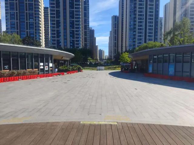 搭帐篷、带宠物……虹口的公园9月1日起试点