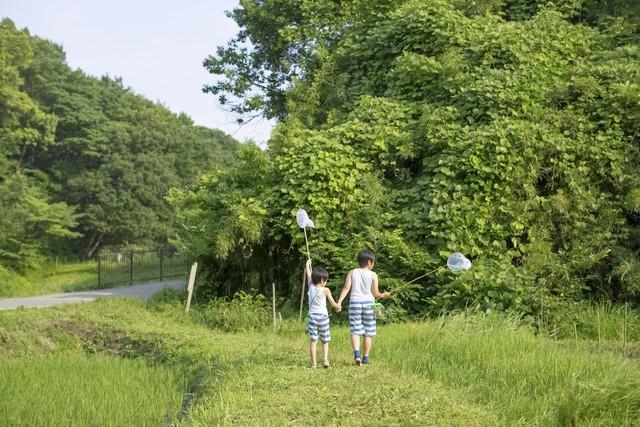 结伴慢游神公式：不孤单、不费钱、不折腾，退休旅游就该这么玩
