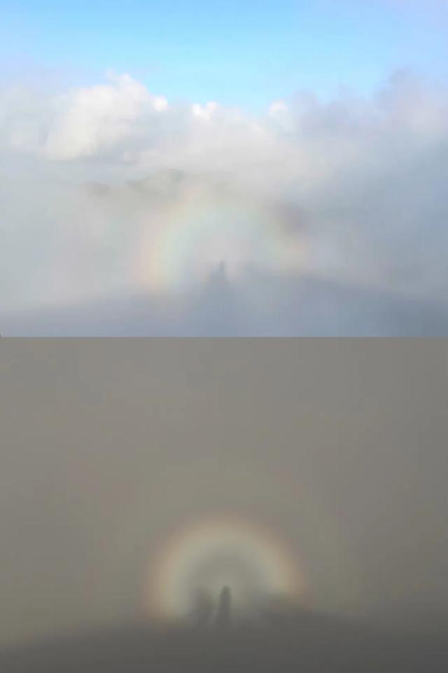 10月，「需要另一个同类」