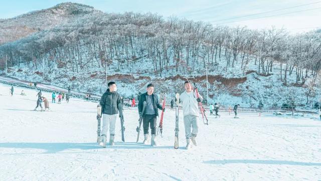 谁说冬天只能宅？禹州这座宝藏小城，等你开启一场治愈系“暖冬”文化之旅