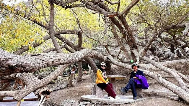 邢强 | 秋游南疆