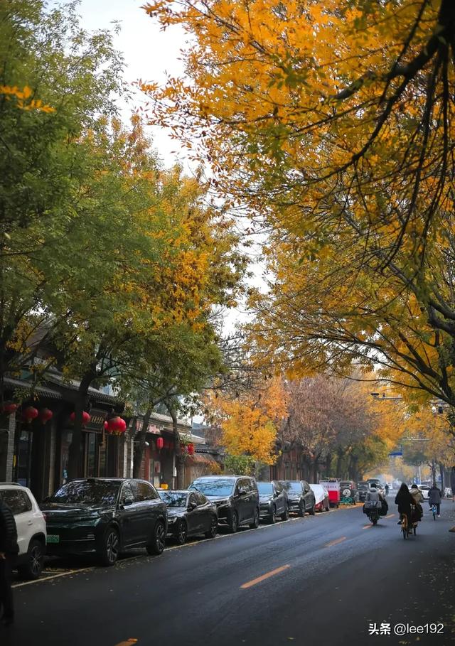 旅游业在ZG是个“Y壶”