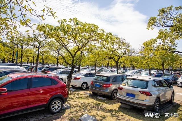 免费营地：江苏常州自驾免费停车露营地，好玩景点、特色美食