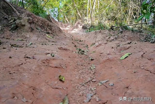 成都龙泉山爆红徒步路线，享受超级梭梭板，大人小孩都喜欢！