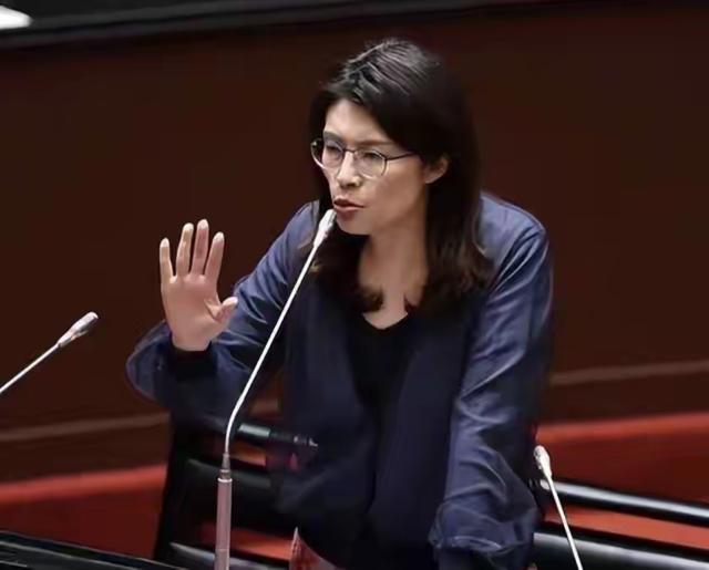 郑丽文正式宣布当选国民党主席：从政坛孤鸟到抗起蓝营大旗