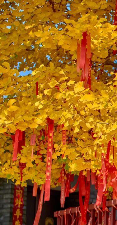 太全面了！8条游玩线路+京郊汤泉！带您玩转北京这里！（1）